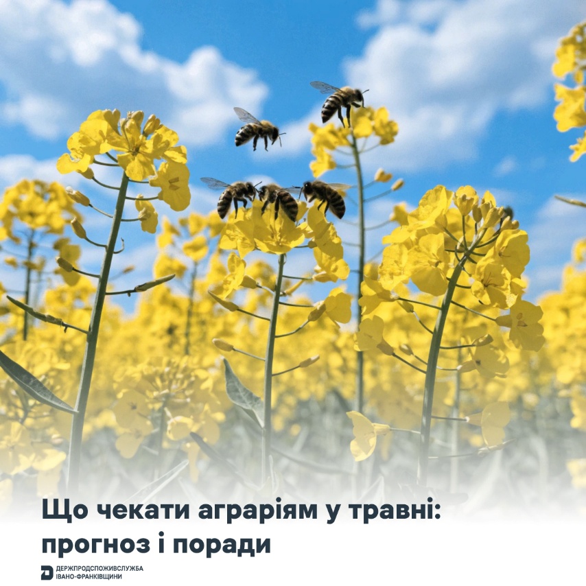01.05.26 2 1