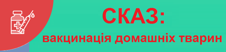 12.07.24 1