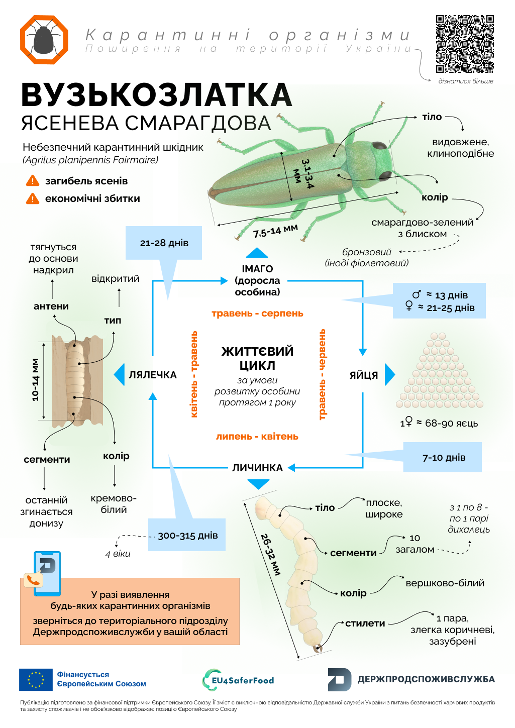 14.05.25 2 2