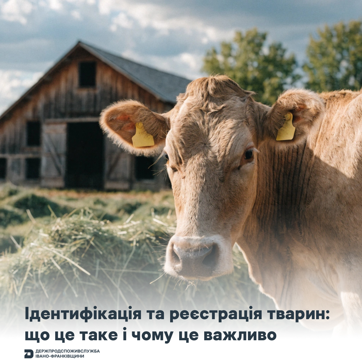 15.05.26 1 1