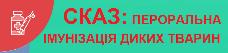 vtem skitter