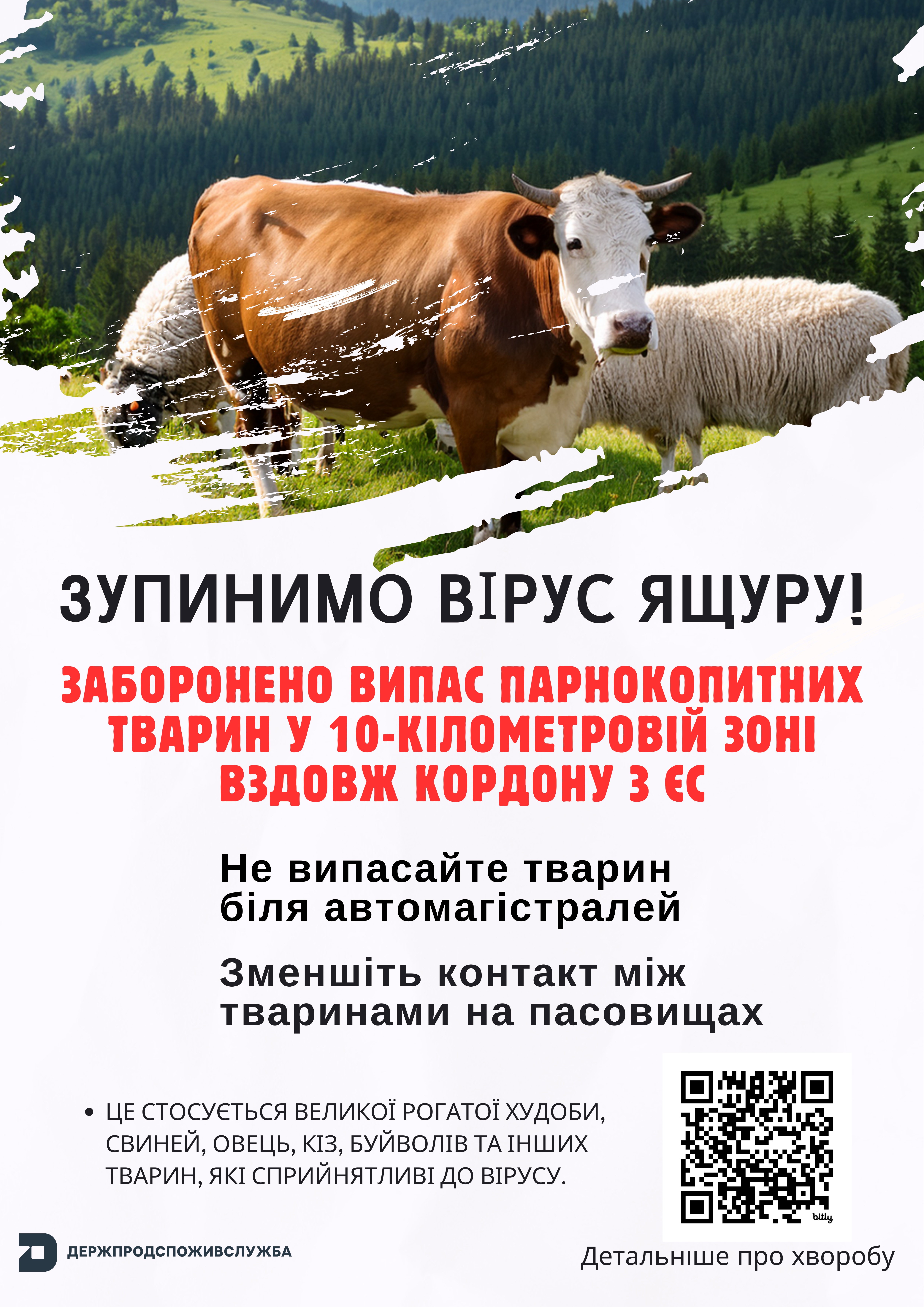 30.04.25-ящур - заборонено випас-кампанія-7