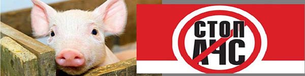 1другефото64п