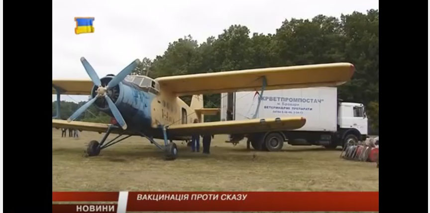 Вакцинацію диких тварин проводять, розприскуючи ліки З ЛІТАКА
