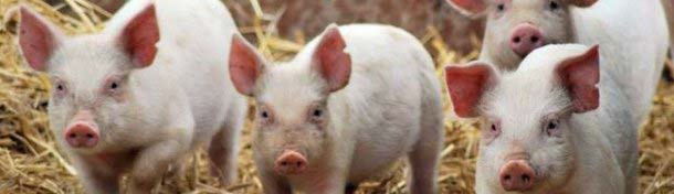 344343авпук222111