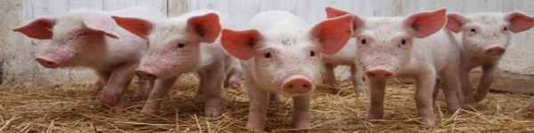 34иапввоййййй2