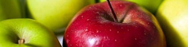 5288бл лобшд5