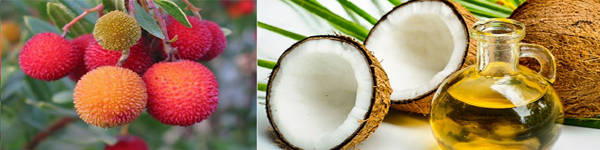 555500965мси8бн