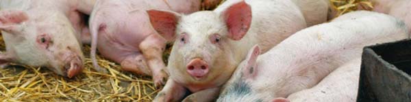 66543нвукуца4у434