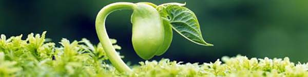 6пакв434к43апрвауу3