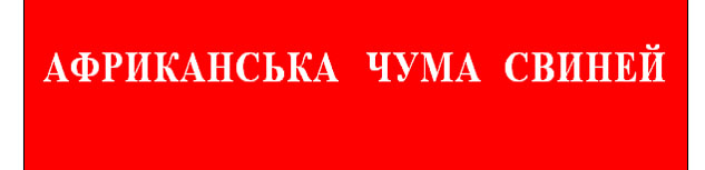 899078987978