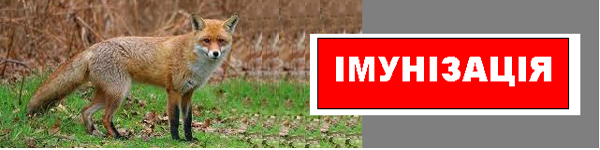 mutlis