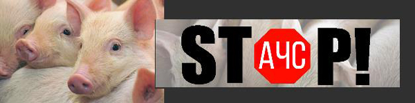 stop756dfd