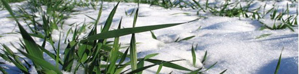 traqvkaпвеуису