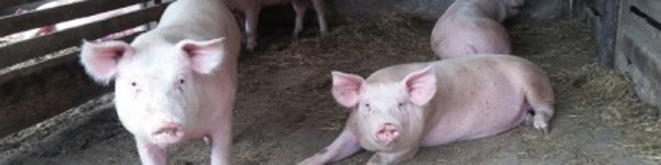 Безымяпацєо75