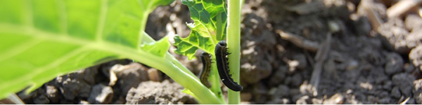 Беп5вт0008ьянный