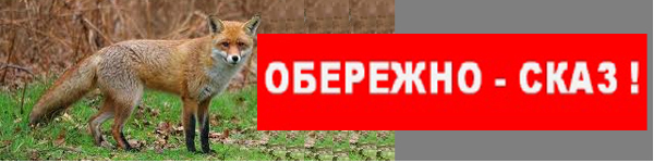 авпвпци56в43