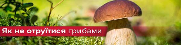 грибок53вуу