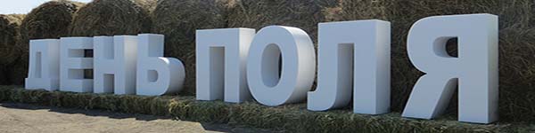 деньв33поля336п