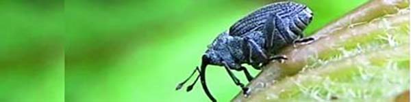 йцфіуцук54кsedr53f3