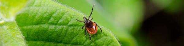 к5rrкеуке352332rte