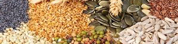 лдьшглб7884ть8