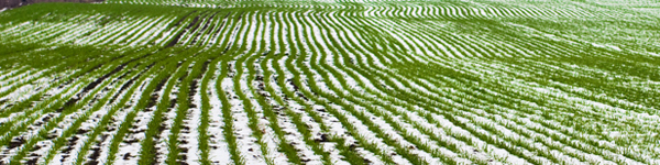 пар5676тьронгп