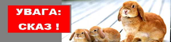 прсказавп557иббб