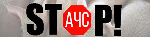 стопstop3454dfgfd