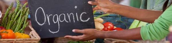 трпаон656565п3322