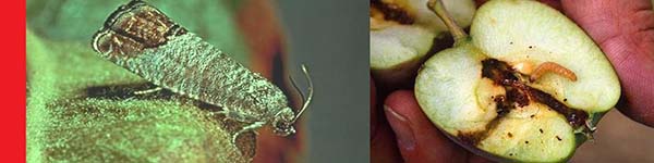 уінргукі54356ууу11