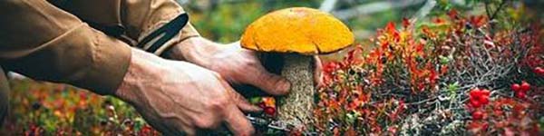 фртакв3вноіав