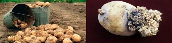 ццц444ііууііу3333