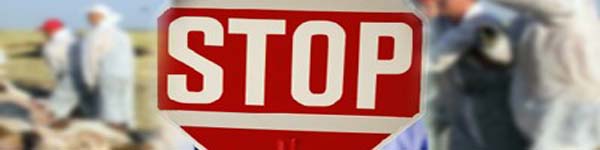 ітоп76рпаа55540