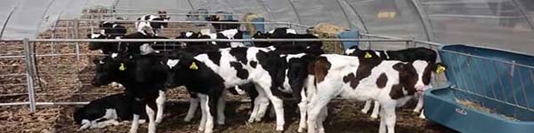 іваів3245пауквувуу